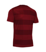 tricou fotbal alphard visiniu