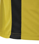 tricou fotbal dinamo antrenament