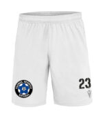 sort oficial de joc viitorul daesti