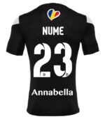 tricou oficial de joc viitorul daesti